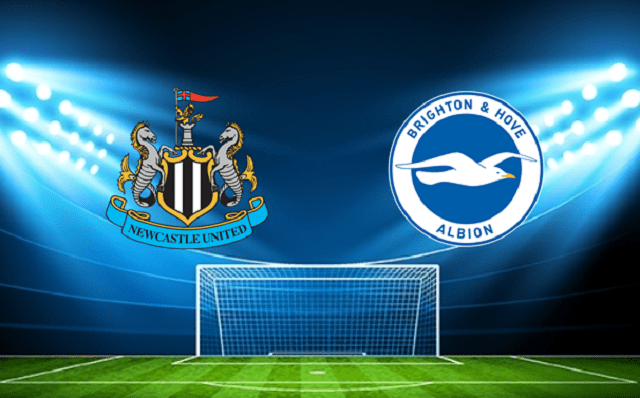 Soi kèo trận đấu Newcastle vs Brighton tại Bk8vn ngày, 05/03/2022 soi keo tran dau newcastle vs brighton tai bk8club ngay, 05/03/2022