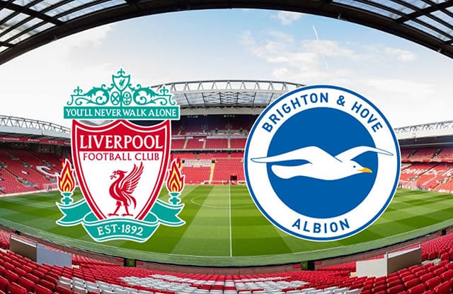 Soi kèo Bk8vn – Liverpool vs Brighton, 01/10/2022 – Ngoại Hạng Anh