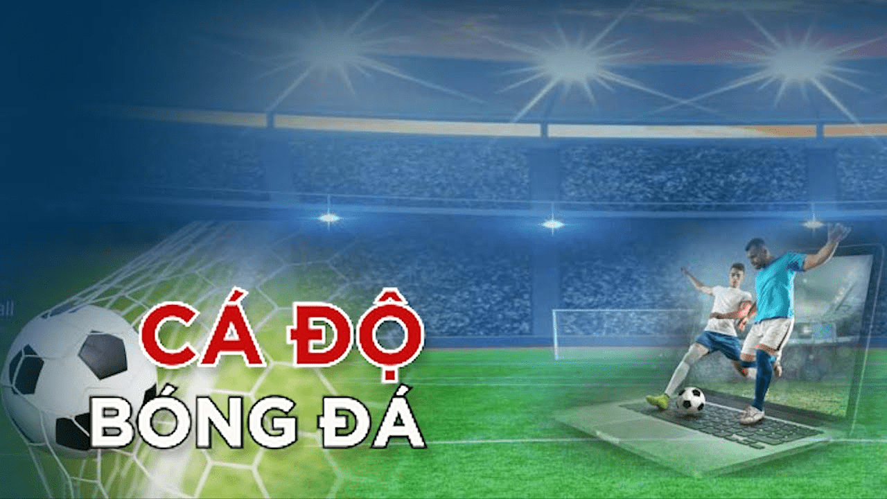 Những điều không phải ai cũng biết khi cá cược bóng đá online Nhung dieu khong phai ai cung biet khi ca cuoc bong da online
