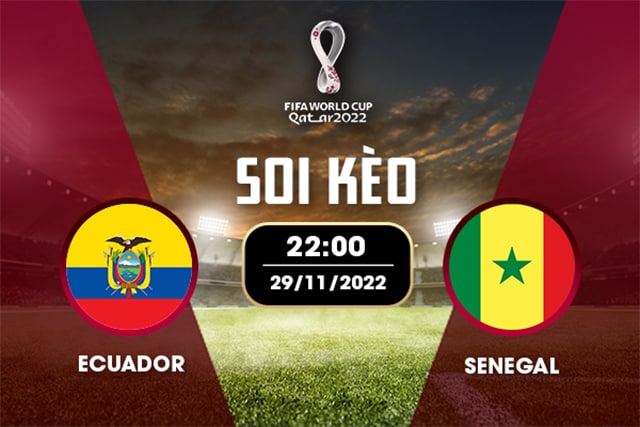Soi kèo Bk8vn – Ecuador vs Senegal, 29/11/2022 – World Cup 2022